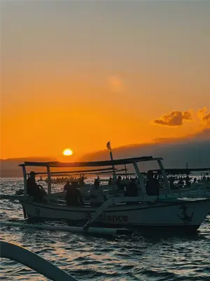 Lovina dolphin sunrise tour fullday baliwonderstour